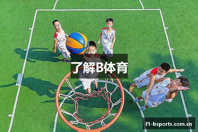 了解B体育